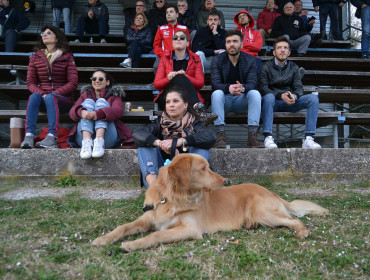 Castelleonese-Sampaolese